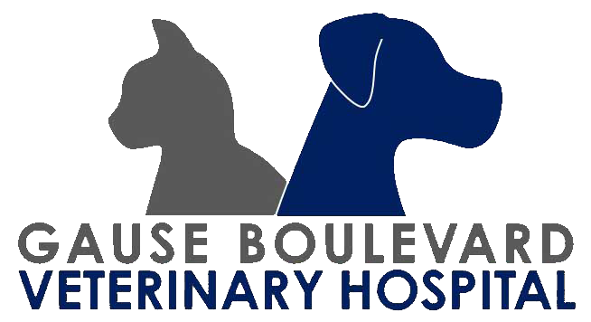 Gause Boulevard Veterinary Hospital